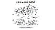 okul öncesi mevsim kavramını öğrenme çalışmaları